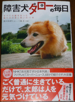 傷害犬タロー