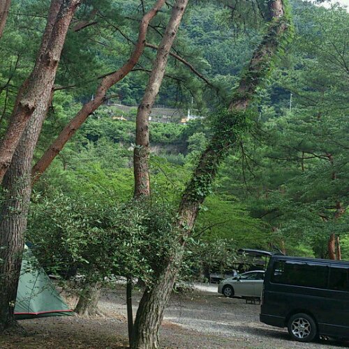 キャンプへ行ってきました☆