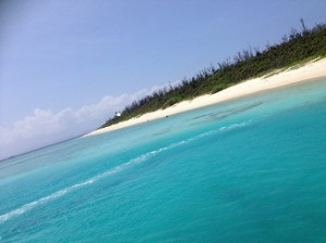 ★　夏の必需品　★　トラネキサム酸・ビタミン！！　そして・・！?