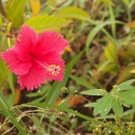 素敵な夏のすごし方❤