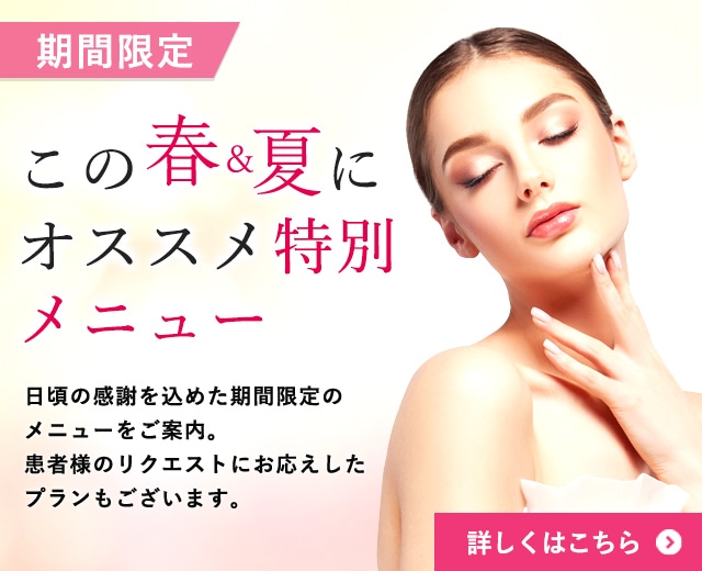 特別メニュープラン