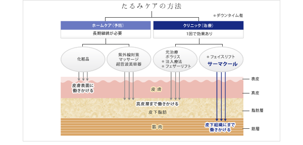 比べてください 皮下組織の筋肉にまで働きかけるサーマクール